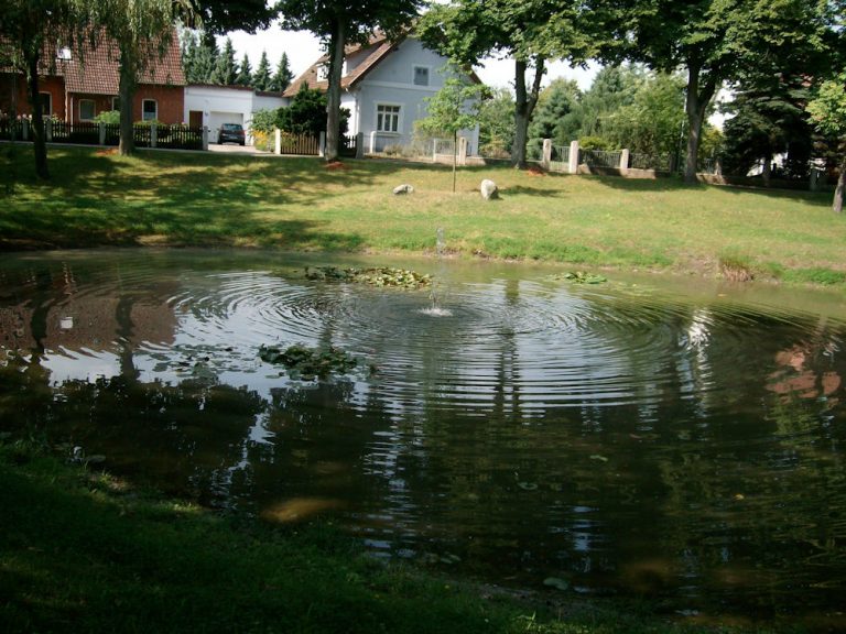 Aktivitäten der Bürgerinitiative Aligse-Kolshorn-Röddensen