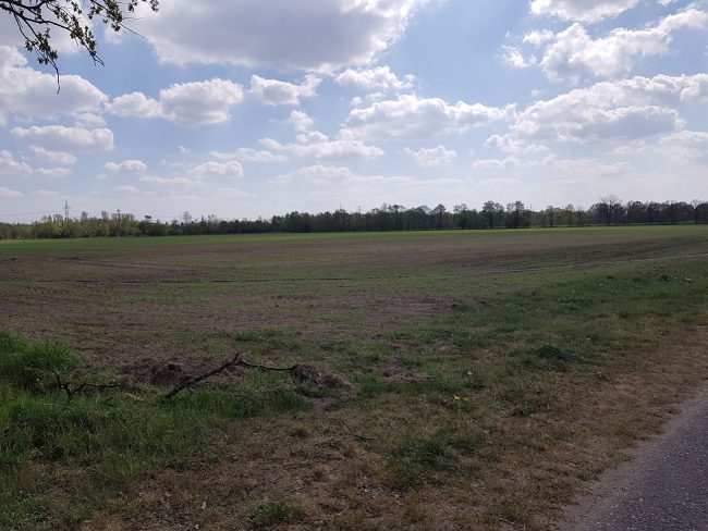 Auf diesem Feld soll das ALDI Logistikzentrum gebaut werden