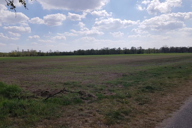 Auf diesem Feld soll das ALDI Logistikzentrum gebaut werden