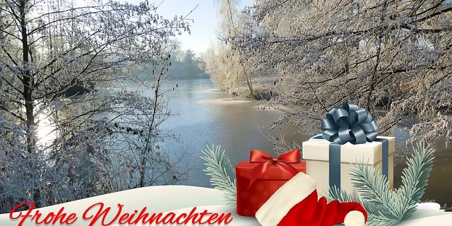 christmas-card-1897307_640 Frohe Weihnachten und ein gutes neues Jahr