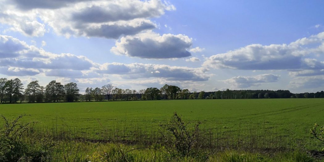 ALDI-Logistikzentrum in Aligse - Wie ist der Stand der Dinge?