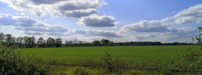 ALDI-Logistikzentrum in Aligse - Wie ist der Stand der Dinge?