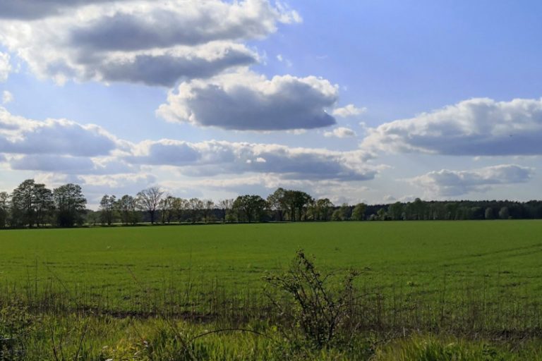 ALDI-Logistikzentrum in Aligse - Wie ist der Stand der Dinge?